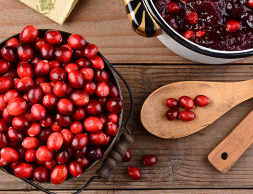 Dangers et contre-indications de la canneberge : le bilan scientifique