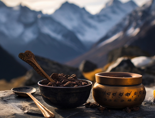 Le Shilajit en pharmacie : que disent vraiment les experts et la science ?