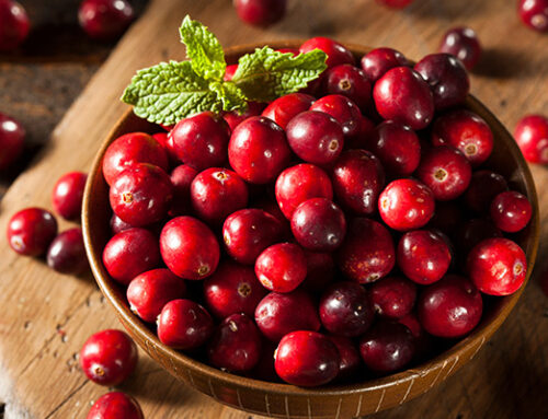 Les bienfaits de la canneberge : Propriétés, Utilisation et Avis scientifique